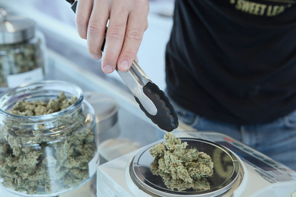 Starting a cannabis business in minnesota